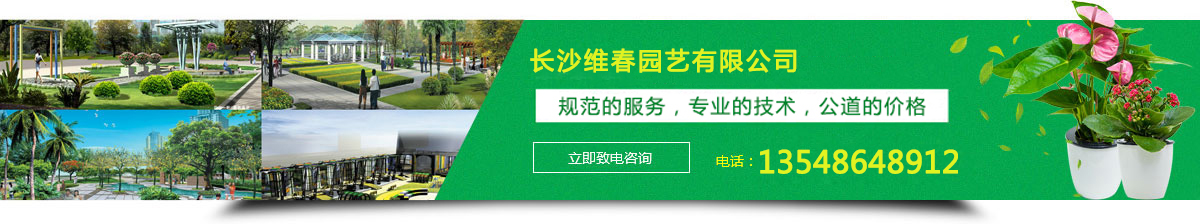 Gֲ⡢U@־G޼@־Gʩ